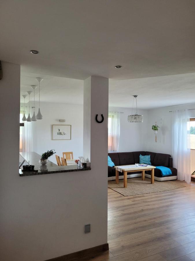 Agroturystyka Kaszuby Villagehome Borzytuchom Exterior foto