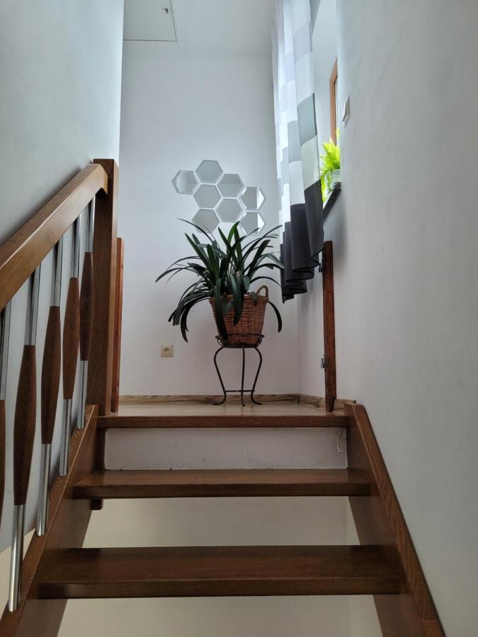 Agroturystyka Kaszuby Villagehome Borzytuchom Exterior foto