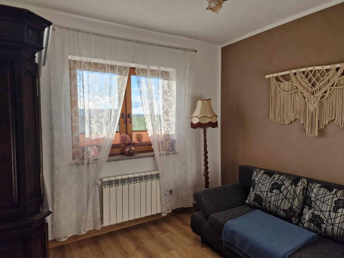 Agroturystyka Kaszuby Villagehome Borzytuchom Exterior foto